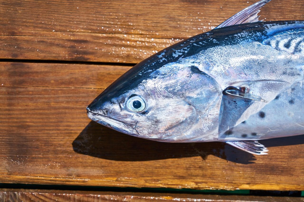 Farebný tanier so zeleninou, strukovinami a celozrnnými obilninami na drevenom stole